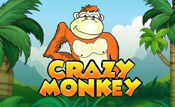 Crazy Monkey